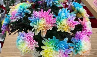 西安限号2023最新限号