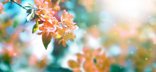 教程分享“广东雀神试用一天”(原来确实是有挂)